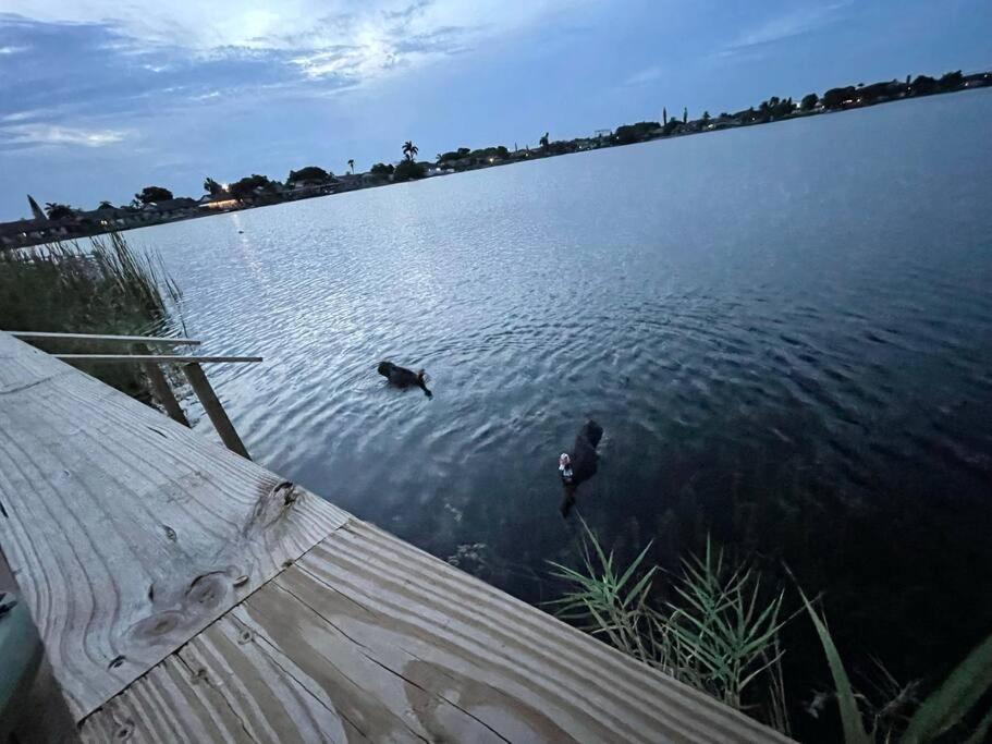Supervilla - Lakefront - Sunsets, Kayaks, Grill Fort Lauderdale Kültér fotó